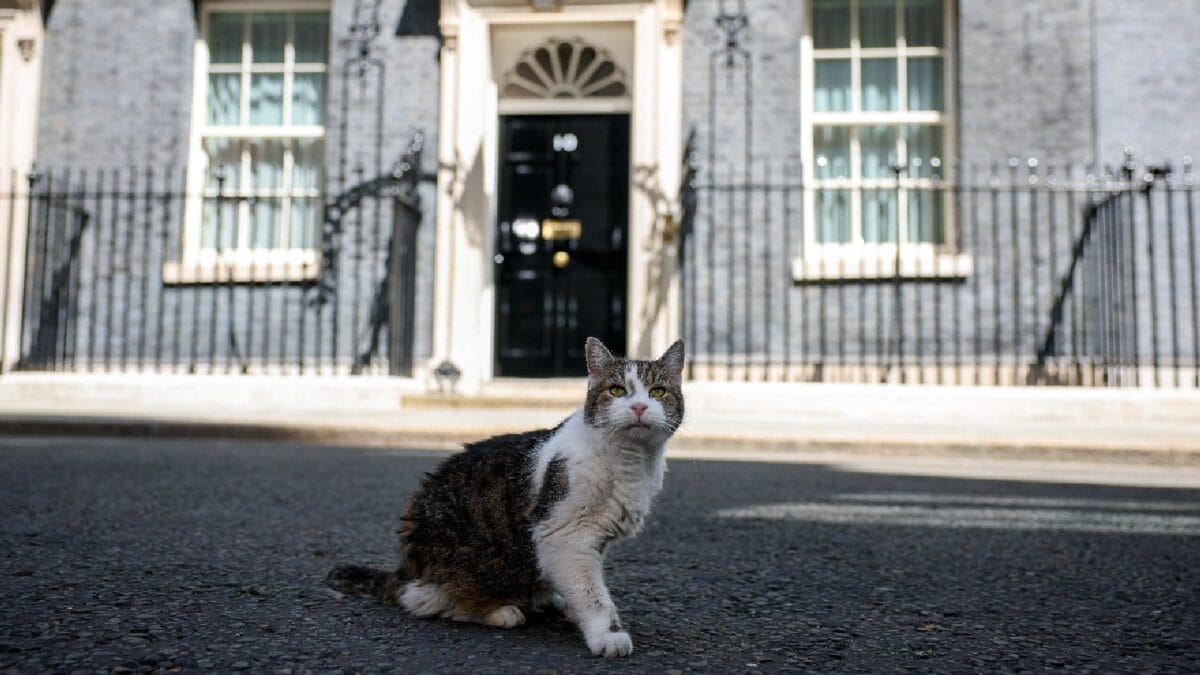 Larry the Cat Welcomes New UK PM Andy Burnham