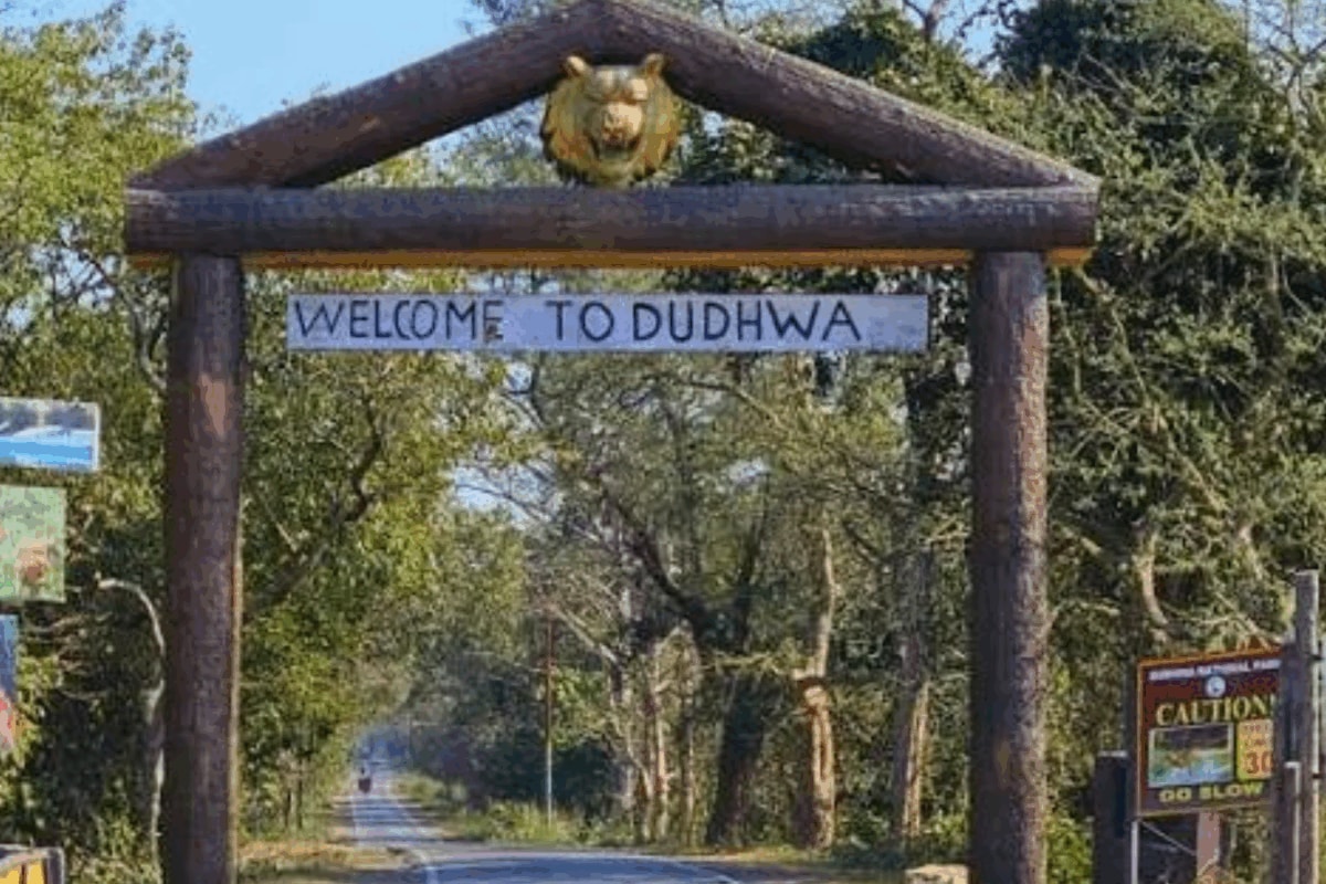 UP's Dudhwa, Pilibhit Tiger Reserves Draw Over 1.33 Lakh Tourists In 2025-26 Season