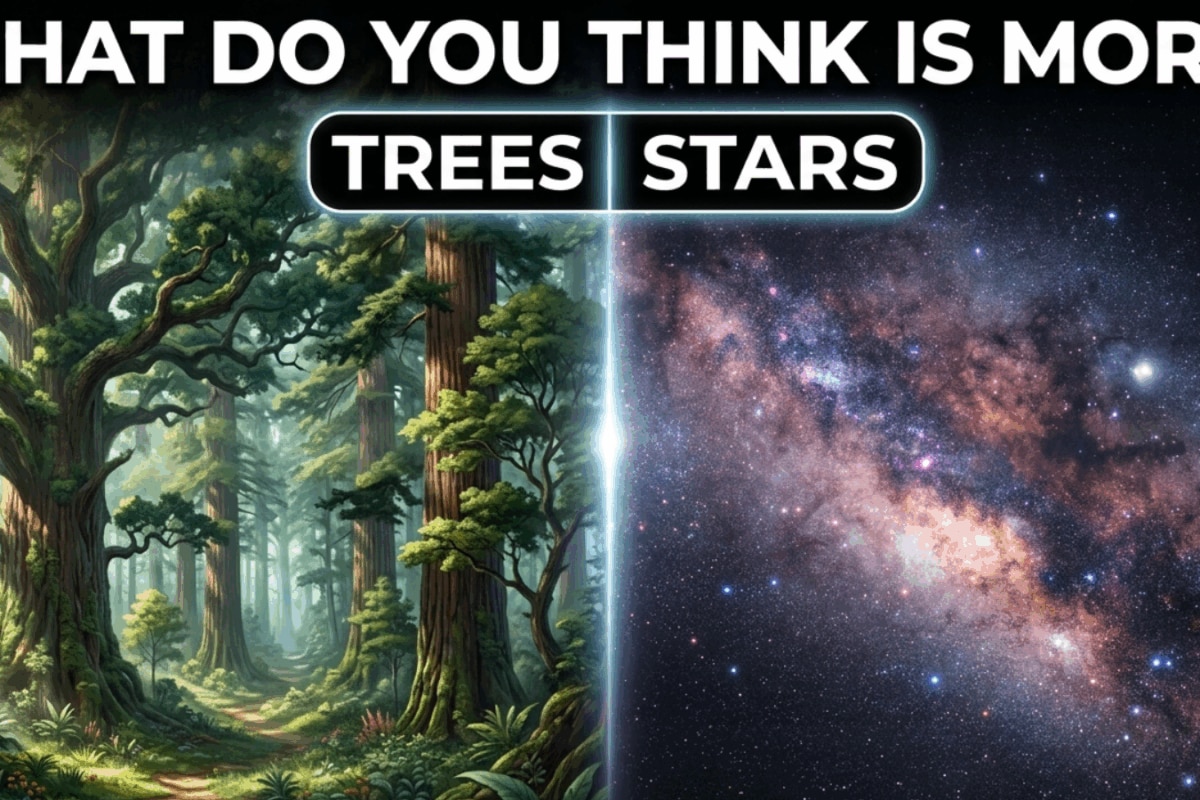 Are There More Trees On Earth Or Stars In The Milky Way? The Answer Will Completely Stun You