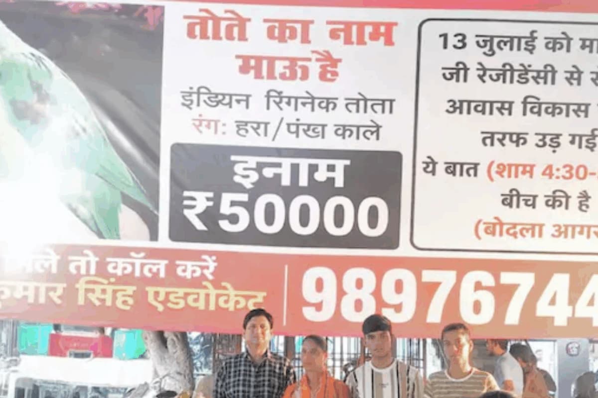 Lost: One Chatty Parrot. Reward: Rs 50,000. Task? Bring ‘Mau’ Back For This Agra Family