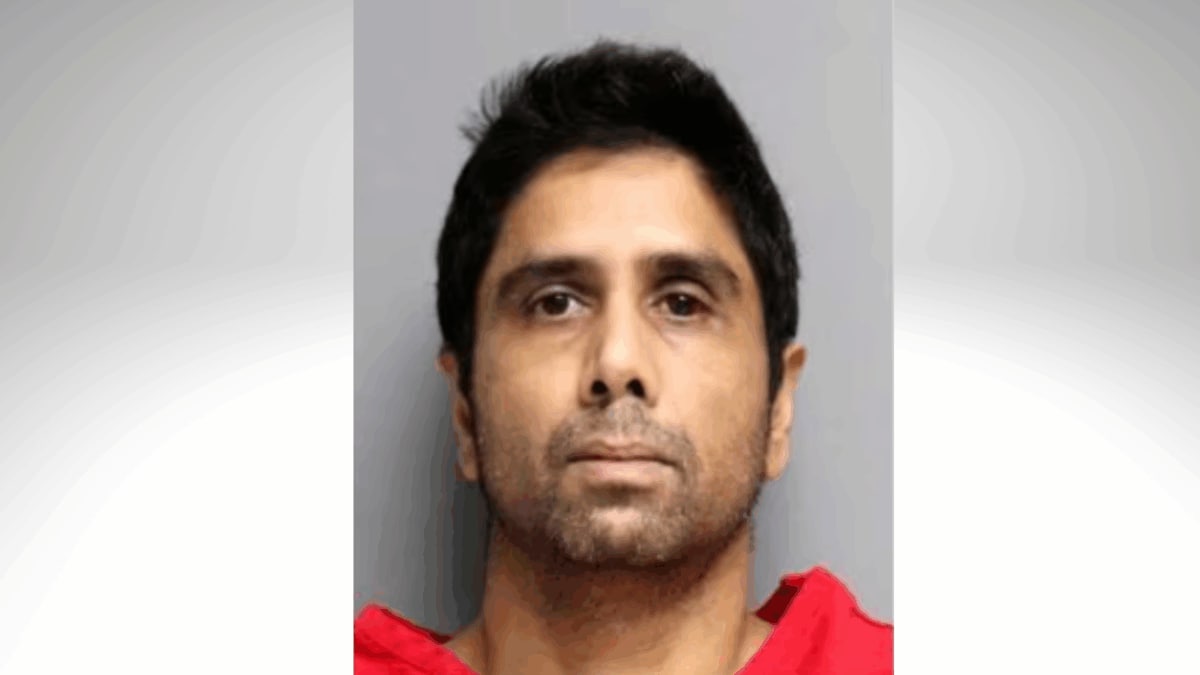 US Court Drops Charges Against Indian-Origin Doctor Who Drove Family In Tesla Off Cliff