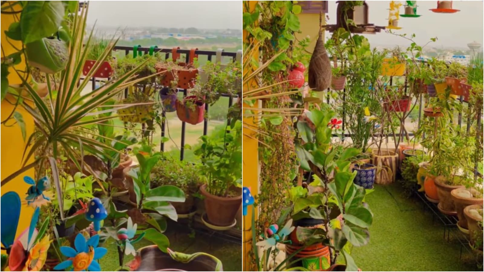 For Ekta Nahar, a Noida-based artist, mornings do not begin with bright sunshine or an alarm clock, but with over 200 feathered visitors. Some perched on railings, some hopping between her 300 planters, somepecking gently at grains, and a few flying close enough to feed from her hands. The birds that visit her every morning include sparrows, hummingbirds, silverbills, koel, parrots and laughing doves. (Image: Instagram/@kindnestbyekta) For Ekta Nahar, a Noida-based artist, mornings do not begin with bright sunshine or an alarm clock, but with over 200 feathered visitors. Some perched on railings, some hopping between her 300 planters, somepecking gently at grains, and a few flying close enough to feed from her hands. The birds that visit her every morning include sparrows, hummingbirds, silverbills, koel, parrots and laughing doves. (Image: Instagram/@kindnestbyekta)