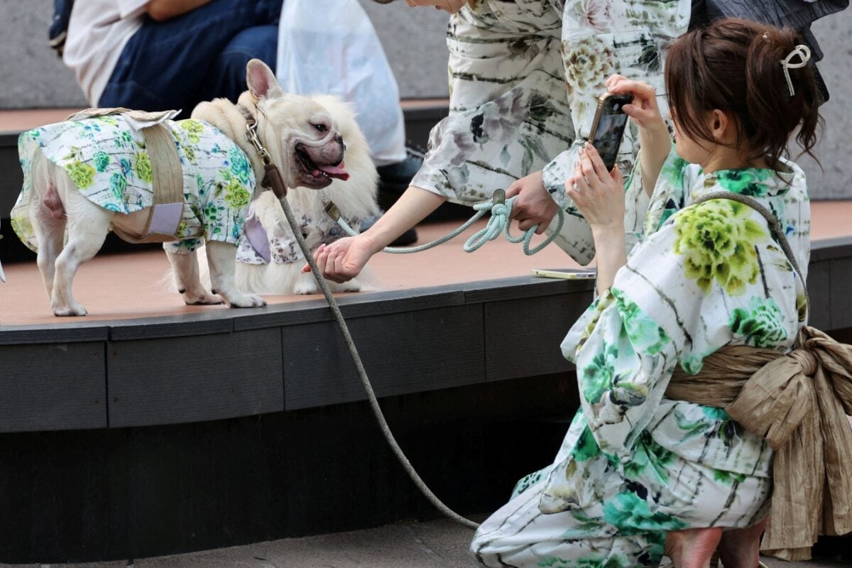 Japan Now Has More Pets Than Children Under 15. How Did It Get Here?