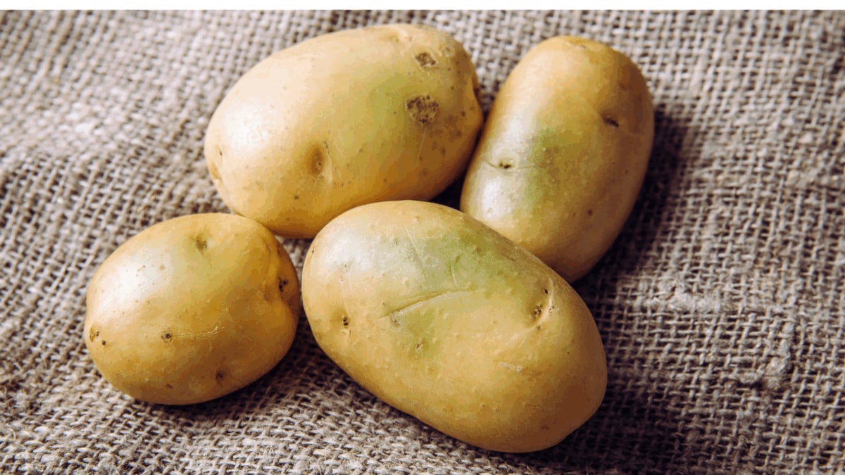 Potatoes ‘Boiling’ Underground Amid Record Heat? What’s Happening In South Korea