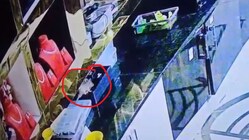 Rat 'Steals' Diamond Jewellery Worth Rs 10 Lakh From Store Near Bengaluru, CCTV Solves Mystery