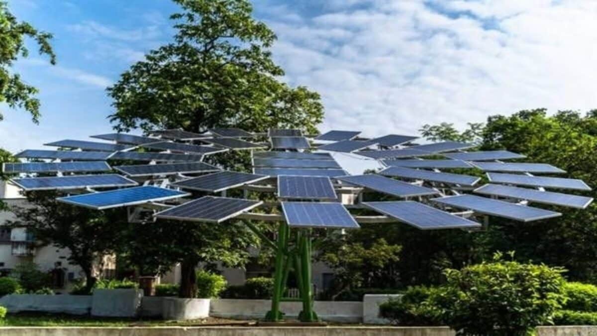 Delhi's First 'Solar Tree' Is Coming—And It Could Change How The City Generates Power