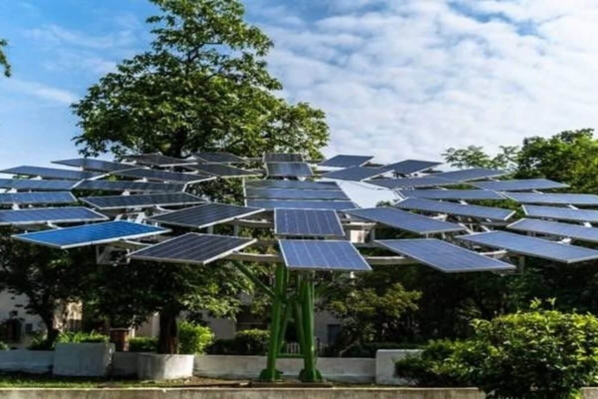 Delhi's First 'Solar Tree' Is Coming—And It Could Change How The City Generates Power