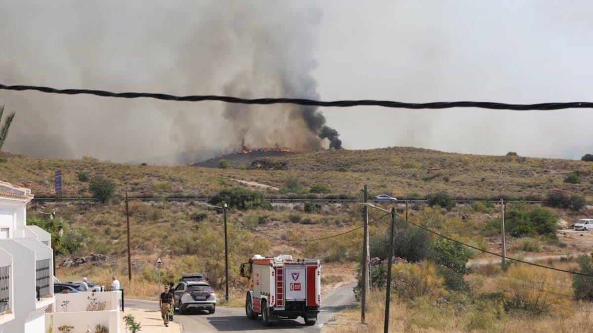 12 Dead, 1,400 Evacuated In Spain's Devastating Wildfire, Local Leader Says 'It Spread Like Gunpowder'