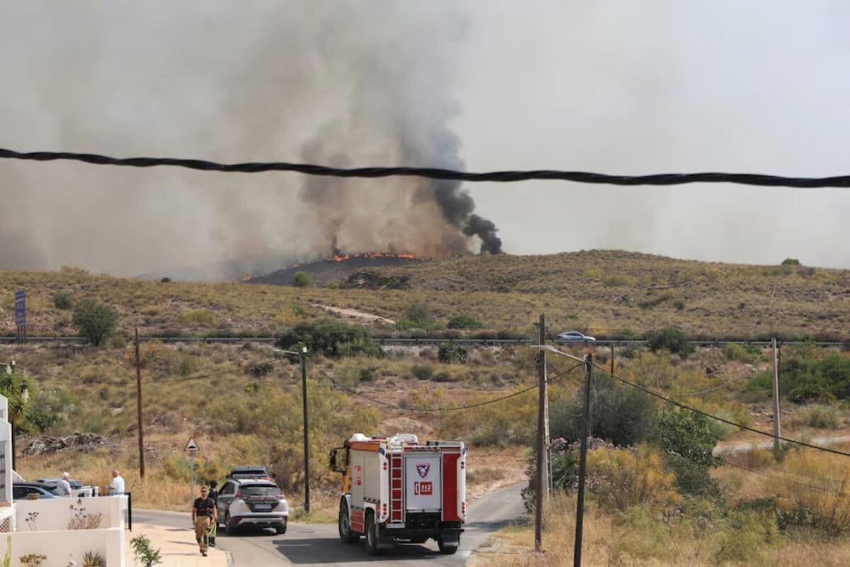 12 Dead, 1,400 Evacuated In Spain's Devastating Wildfire, Local Leader Says 'It Spread Like Gunpowder'