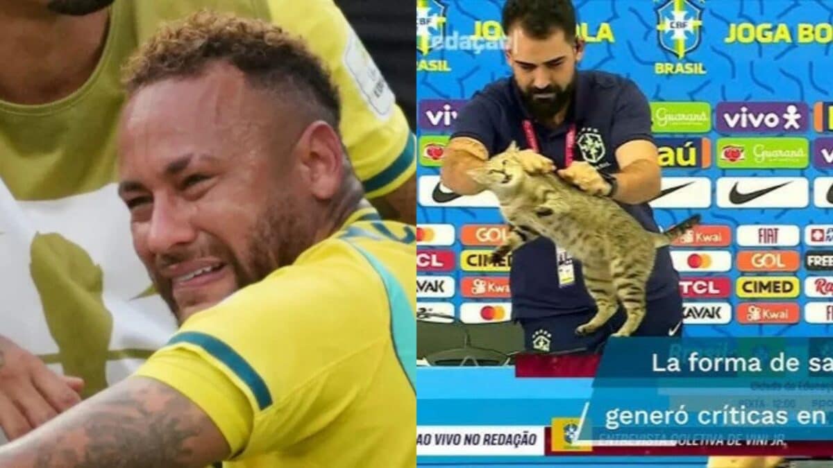 ‘The Cat Curse Is Real’: Internet Revives Viral Theory After Brazil’s World Cup 2026 Exit