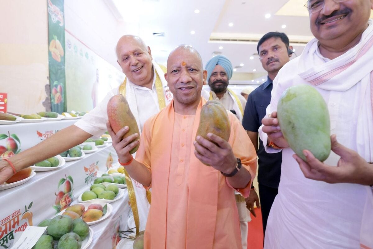 Uttar Pradesh's Aam Mahotsav Begins In Lucknow; Over 800 Mango Varieties On Display