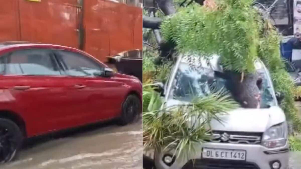 Delhi Weather Today: Trees Uprooted, Roads Waterlogged Amid Monsoon Fury, IMD Sounds Orange Alert