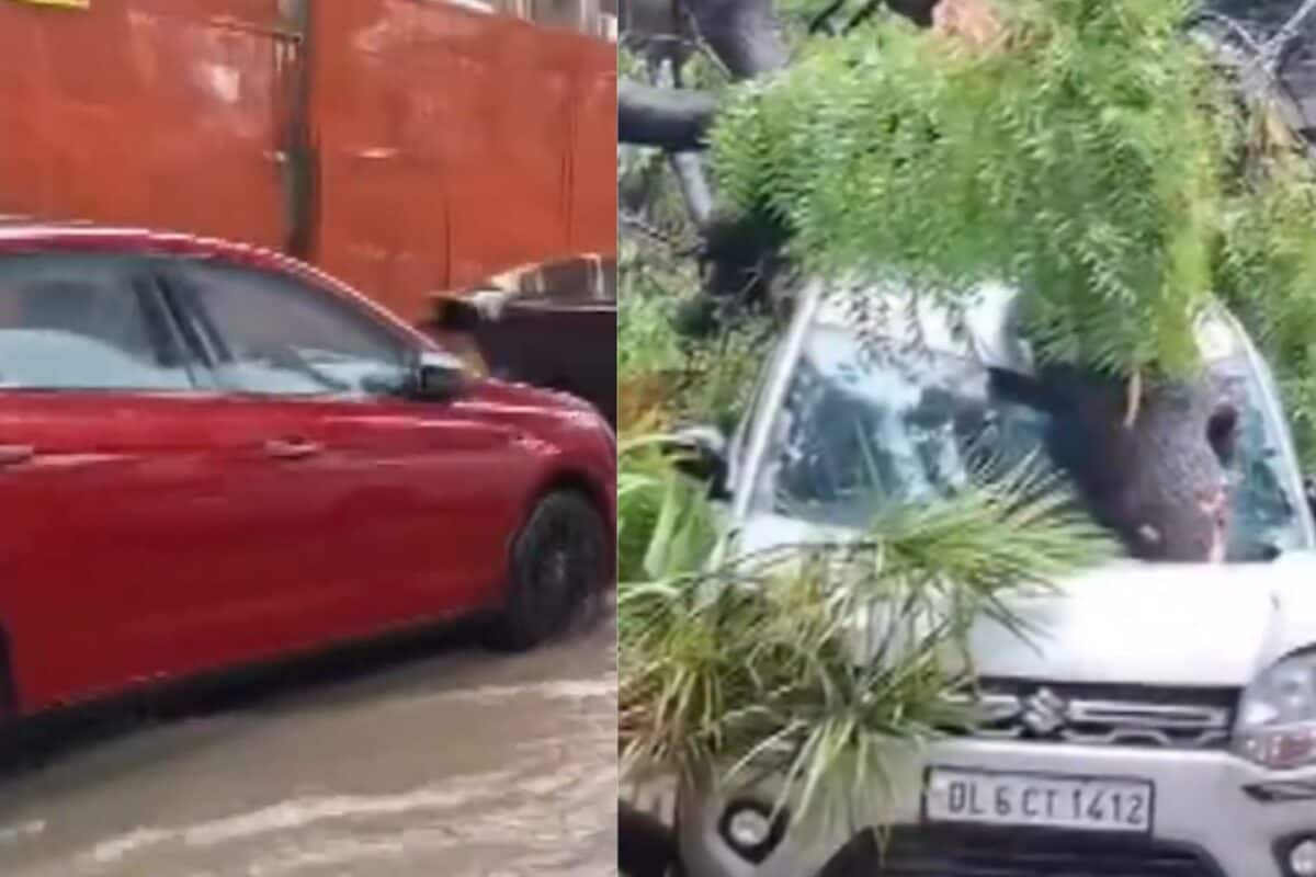 Delhi Weather Today: Trees Uprooted, Roads Waterlogged Amid Monsoon Fury, IMD Sounds Orange Alert