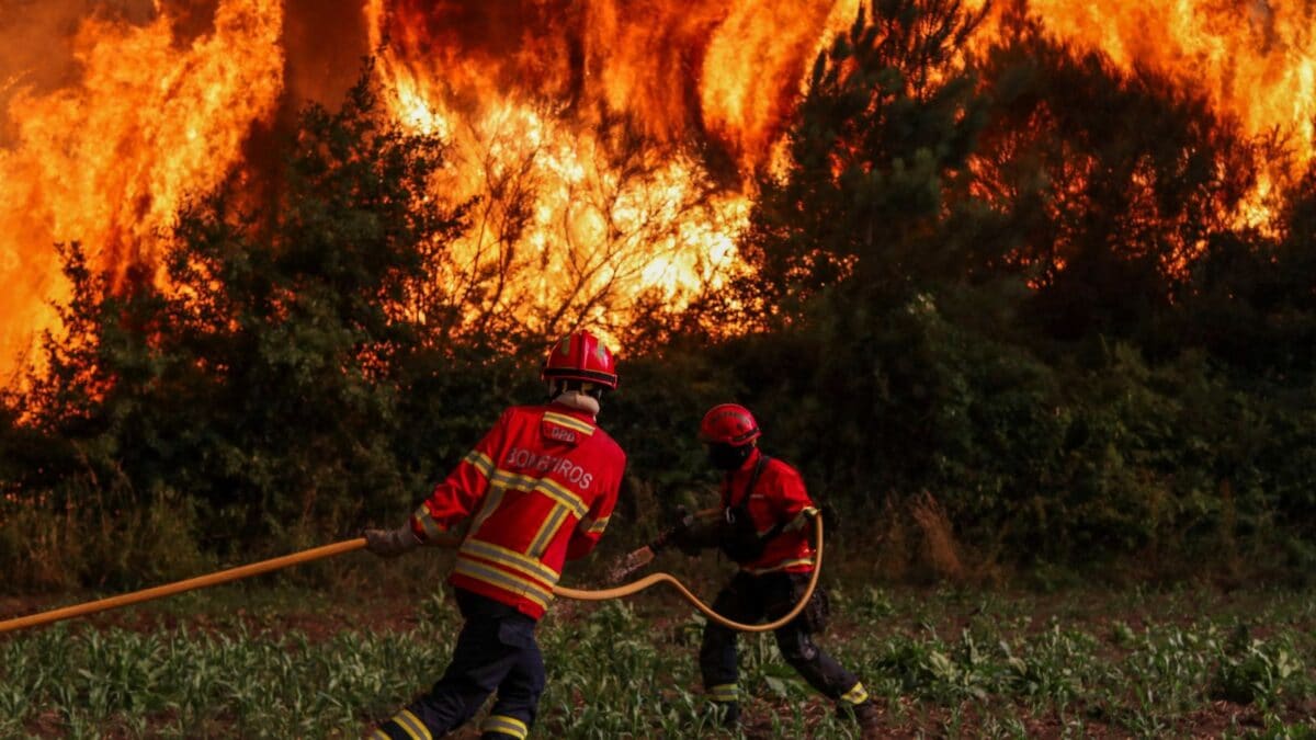 Portugal, Greece, Spain Battle Raging Wildfires As Firefighters Race To Contain Blazes