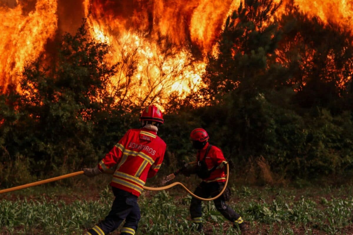 Portugal, Greece, Spain Battle Raging Wildfires As Firefighters Race To Contain Blazes