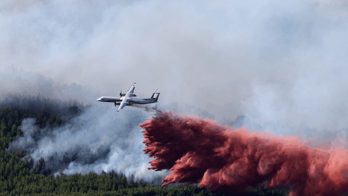 Nearly 3,000 Evacuated As France Battles Multiple Wildfires After Heatwave