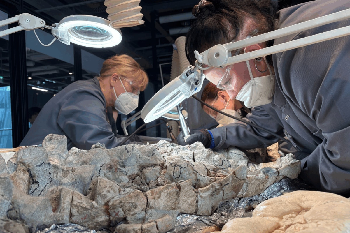 Before Dinosaurs, These Giant Predators Dominated Earth. Now 2,000 Volunteers Are Digging Them Up