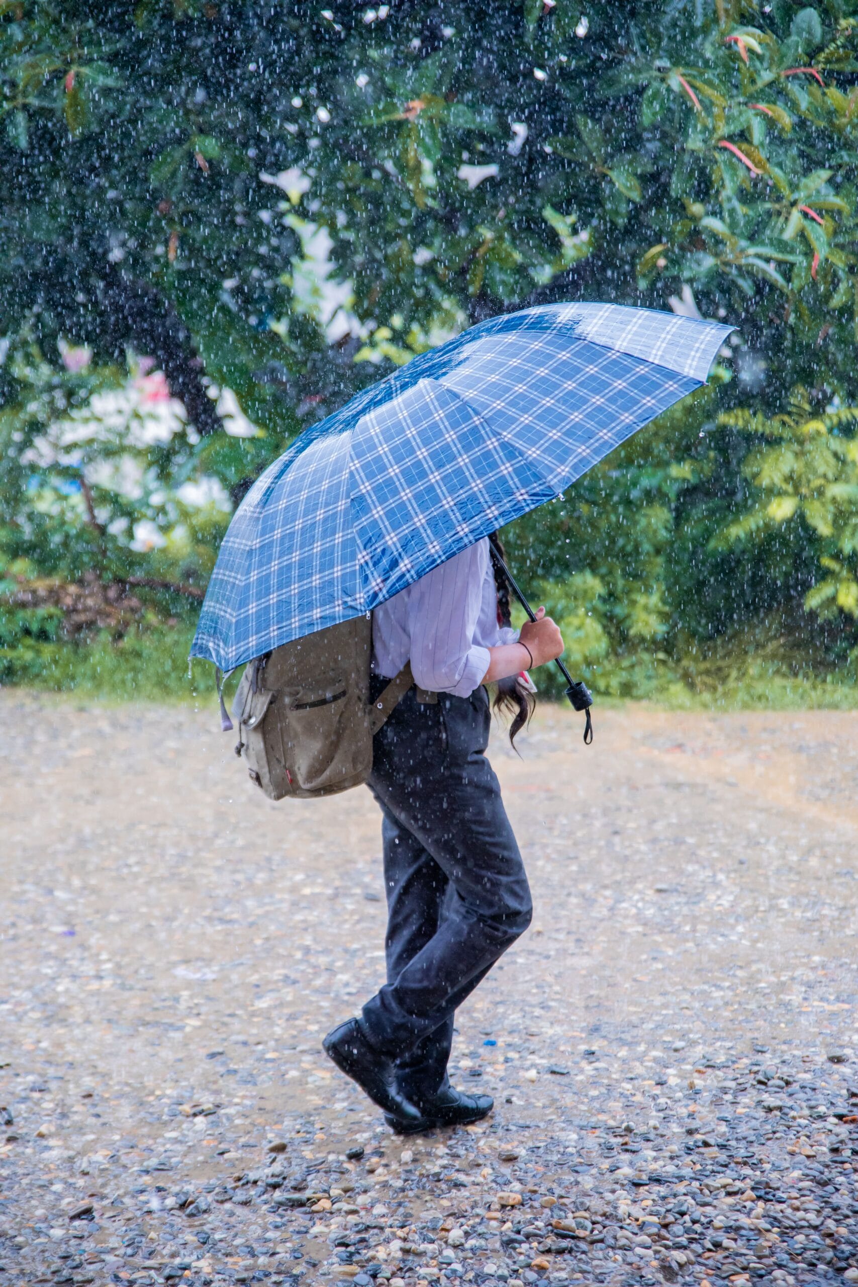 School Holiday Tomorrow: Are Schools Closed On July 31 Due To Heavy Rain?