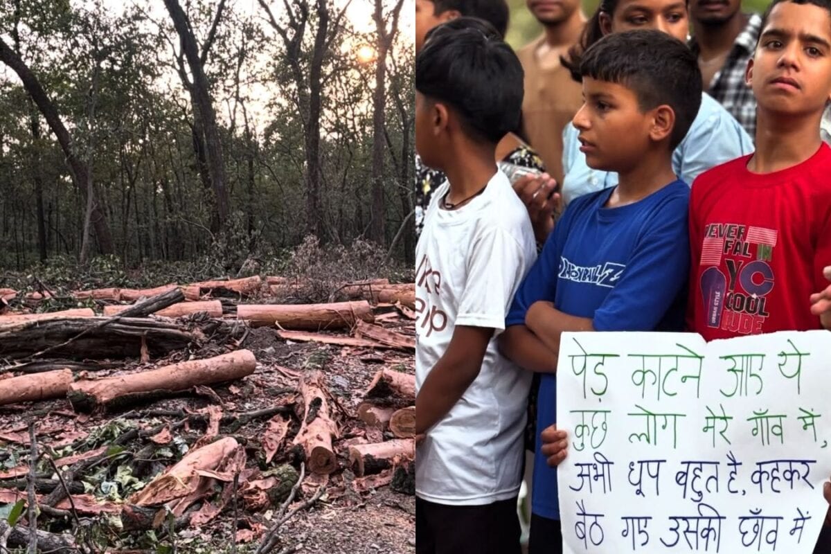 Explained: Why Uttarakhand CM Pushkar Singh Dhami Halted Tree-Felling At Dehradun's Saat Mod