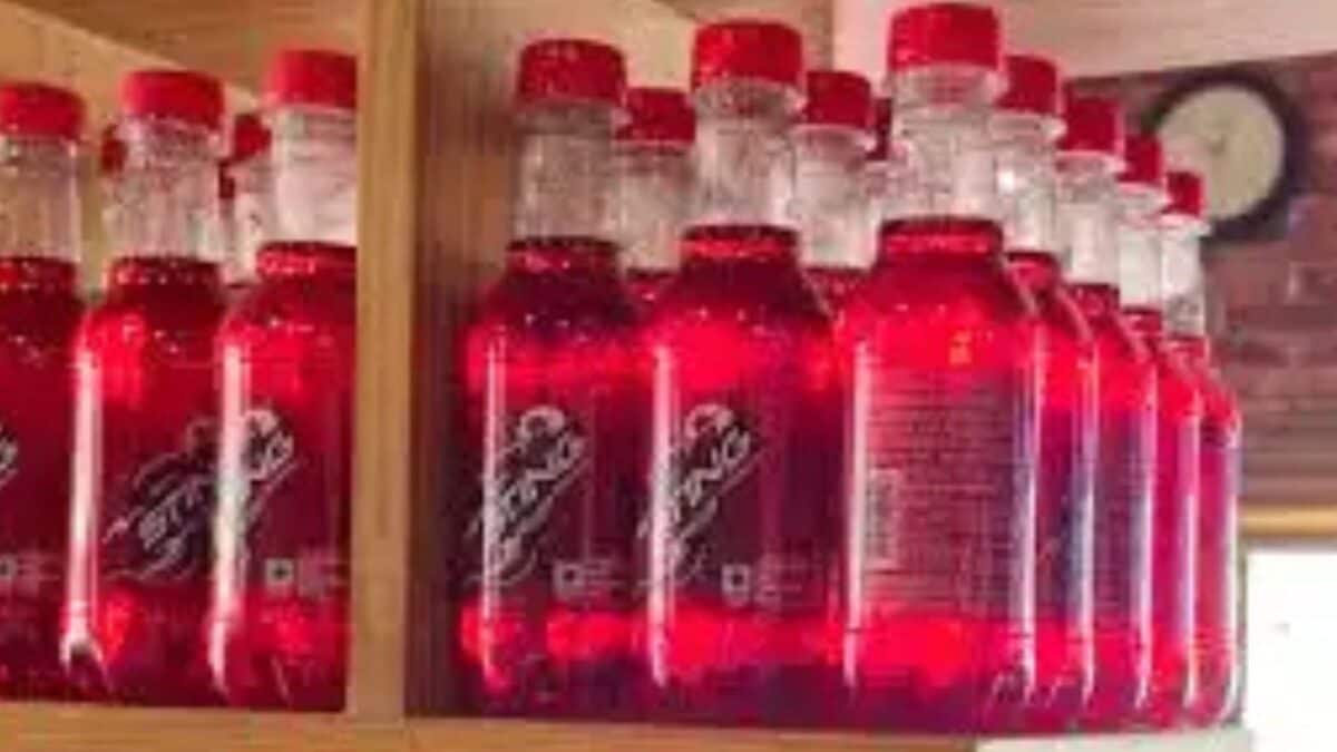 Maharashtra To Ban Sale Of Sting, Other Energy Drinks Within 500 Metres Of Schools