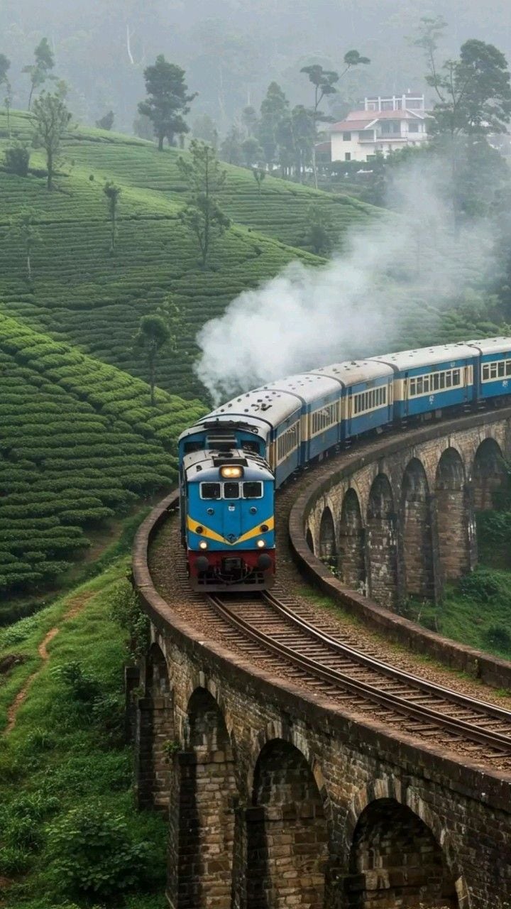 New Jalpaiguri-Alipurduar Vistadome (West Bengal)This journey through the Dooars region showcases endless tea gardens, forests and the foothills of the Eastern Himalayas. Keep an eye out; you may even spot elephants, peacocks or other wildlife as the train passes through protected forest areas. New Jalpaiguri-Alipurduar Vistadome (West Bengal)This journey through the Dooars region showcases endless tea gardens, forests and the foothills of the Eastern Himalayas. Keep an eye out; you may even spot elephants, peacocks or other wildlife as the train passes through protected forest areas.