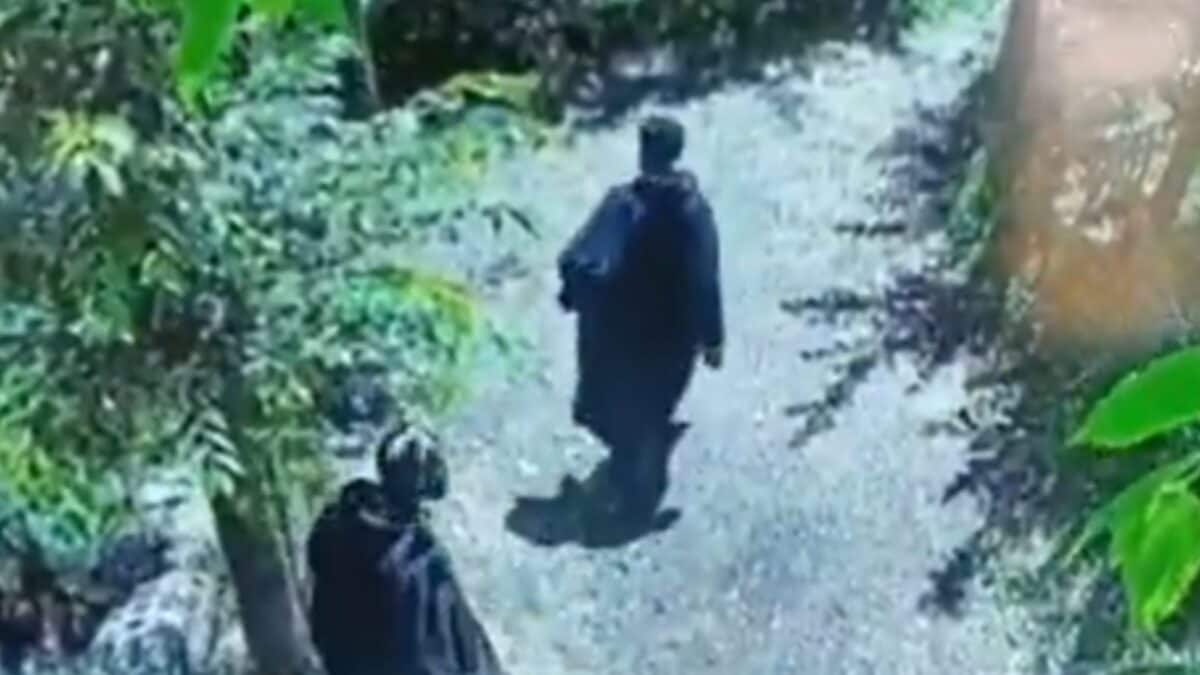 Watch: Two Lashkar-e-Taiba Terrorists Trapped In Shopian Orchard As Operation Enters Day 2