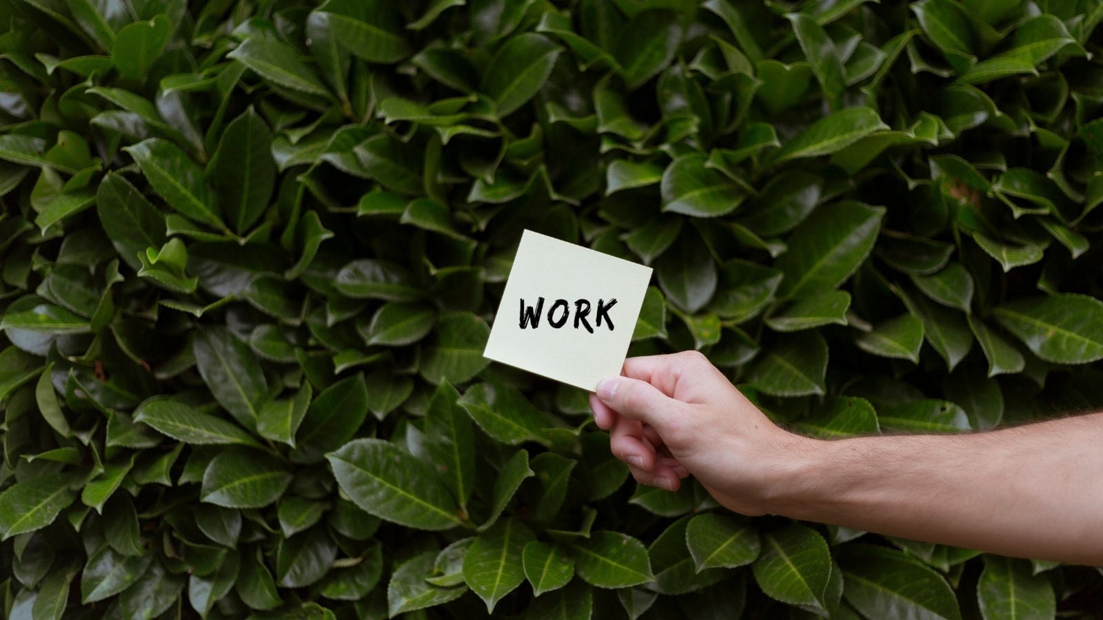 Some companies now recognise the value of employee well-being by offering flexible work options, unpaid leave, or sabbatical-style programs. Although micro-retirement is still uncommon in many workplaces, evolving work cultures are encouraging conversations about healthier career paths and work-life balance.
