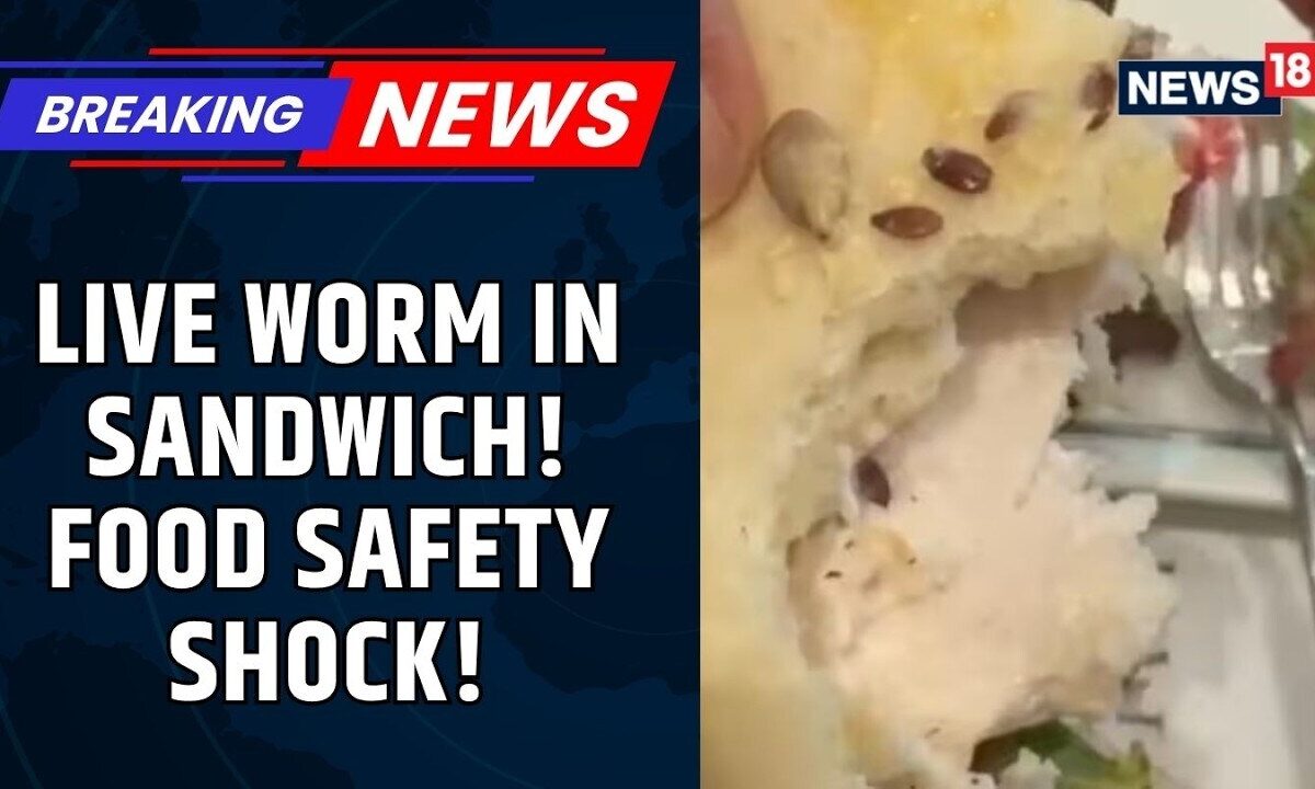 Shocking Food Safety Scare: Live Worm Found in Sandwich at Gurugram Bakery | News18