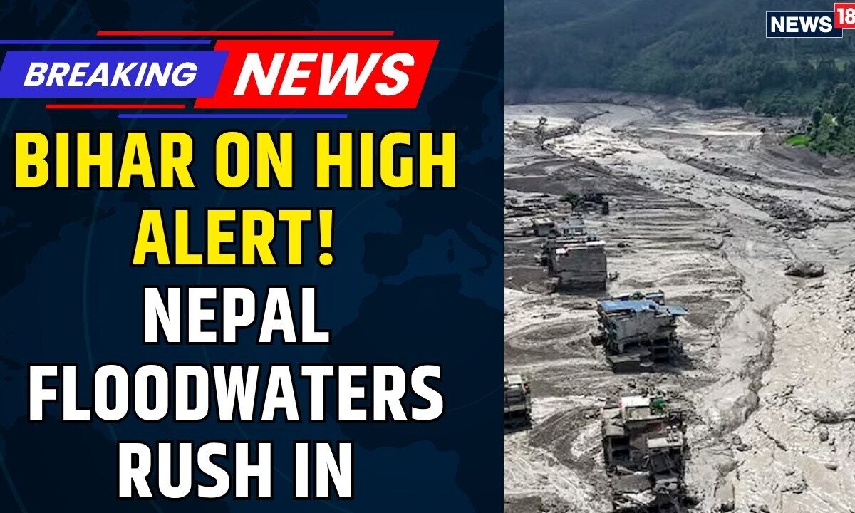 Bihar on HIGH ALERT: Nepal Floodwaters Raise Gandak Threat | Valmiki Nagar Barrage | News18