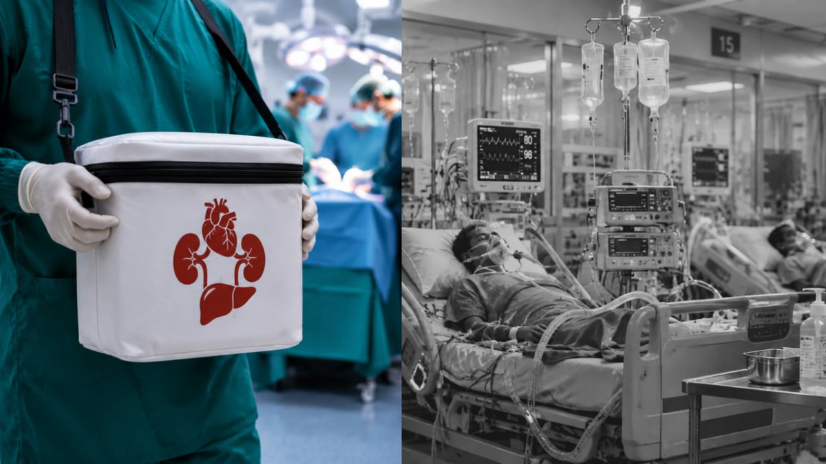 Organ Donation Day 2026: India Performs The Third-Highest Number Of Organ Transplants, But Millions Remain On The Waiting List: Here's Why