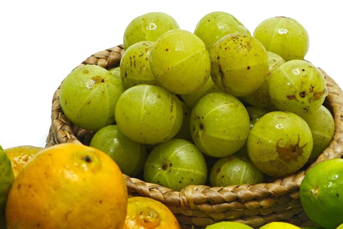 PM Narendra Modi Promotes Health Benefits Of Amla In Mann Ki Baat, Calls It 'Mazedar Bhi, Healthy Bhi'