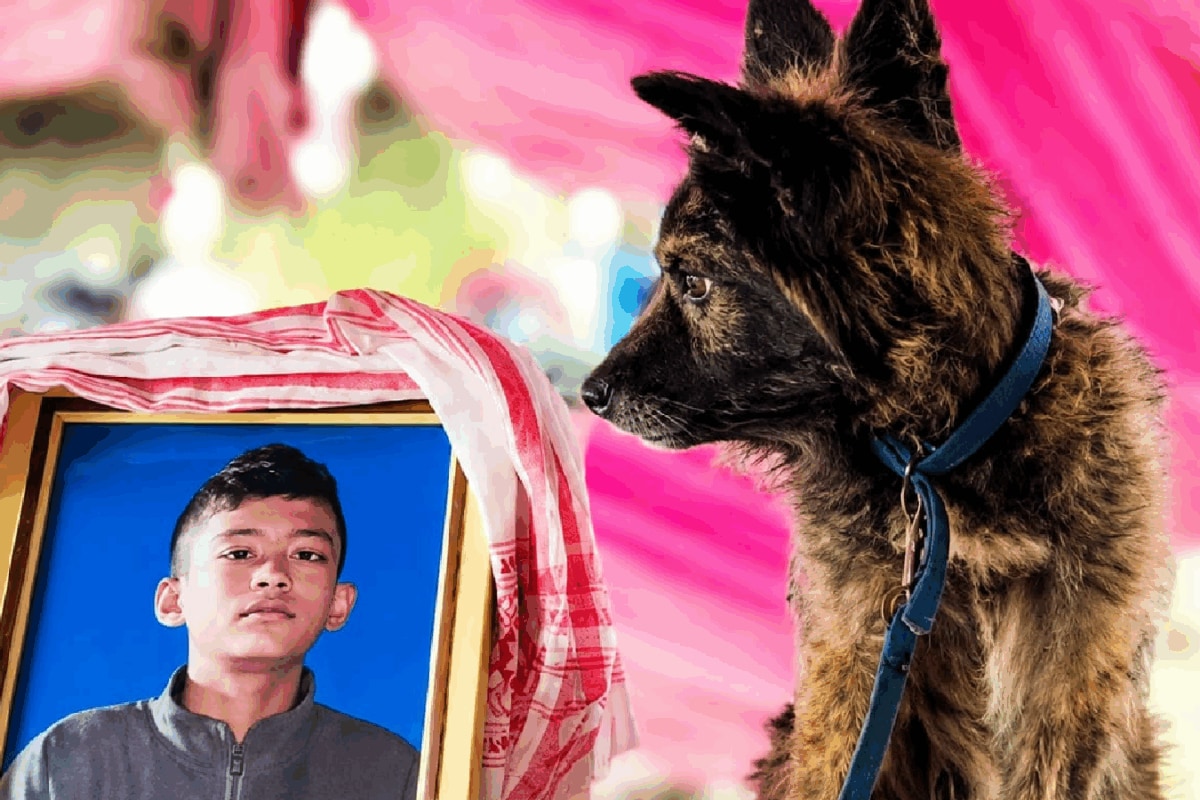 'I Can Rebuild Your House, But...': Himanta's Words To Parents Of Boy Who Died Saving Puppy In Assam Floods