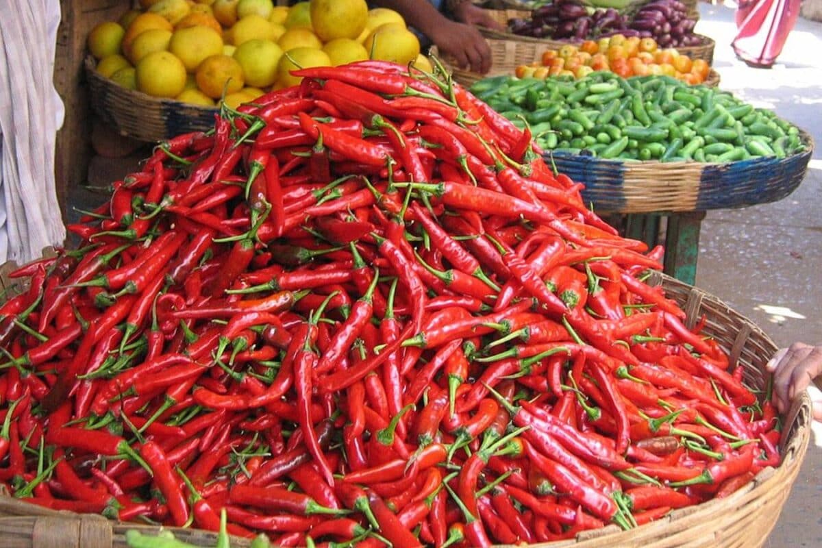 GK: Which City Is Known As The Chilli Capital Of India?