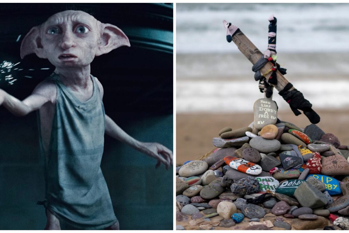 How Potterheads Worked Their Magic To Protect Dobby’s ‘Grave’ From A Rs 5,535 Crore Power Cable