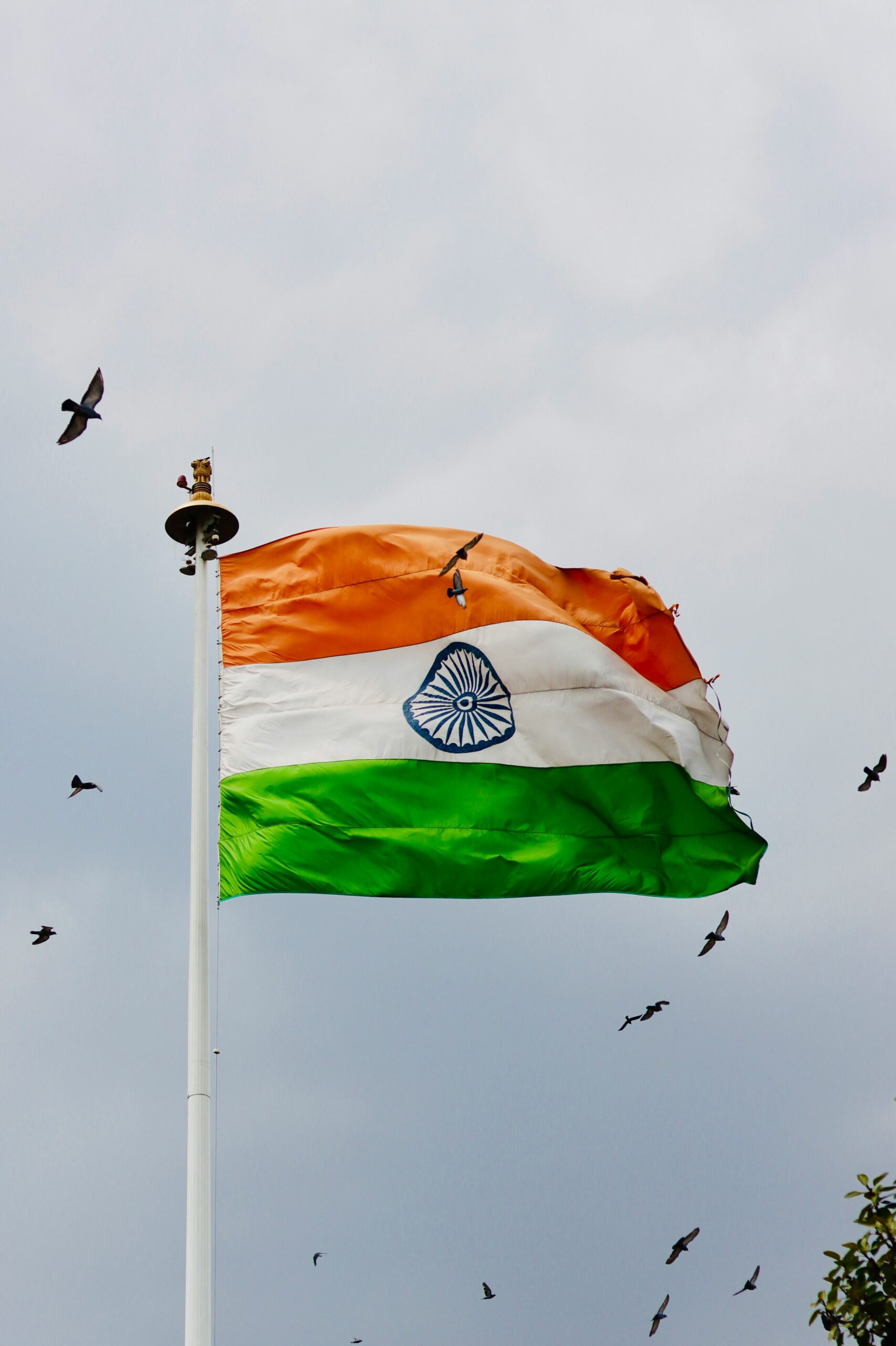 Reportedly, Jhanda Chowk itself has become a small landmark tied entirely to this event. (Representative Image: Unsplash)