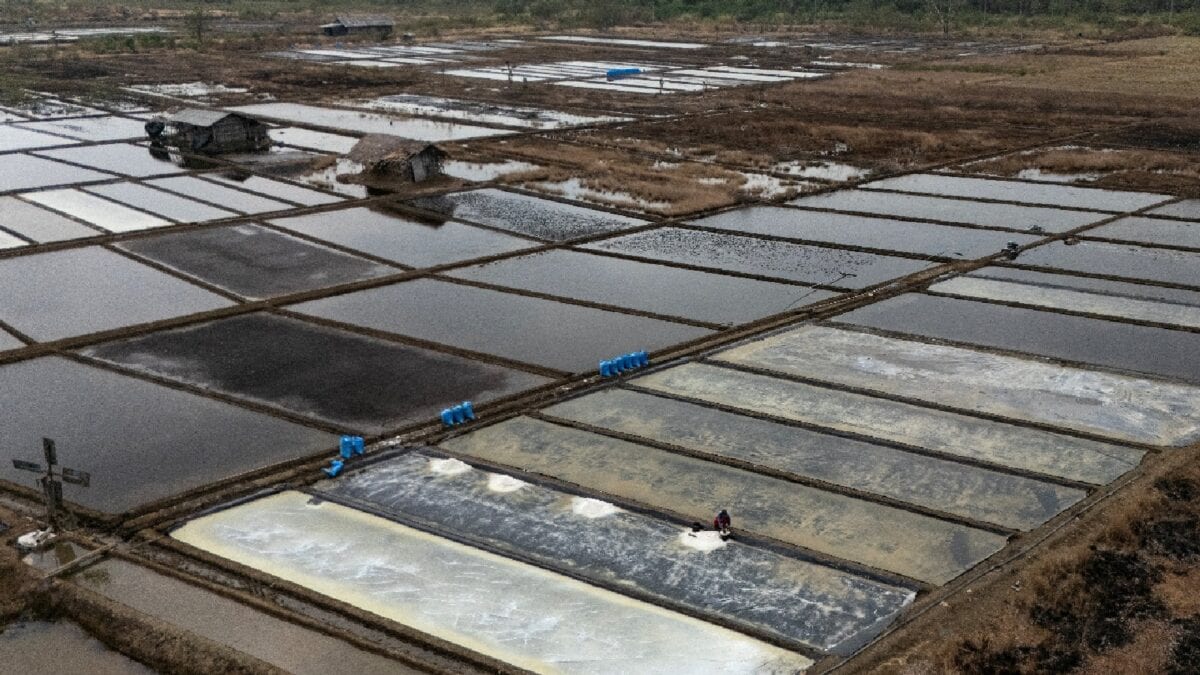 'El Nino Is A Blessing': Why Indonesian Salt Farmers Welcome Long Droughts | Watch