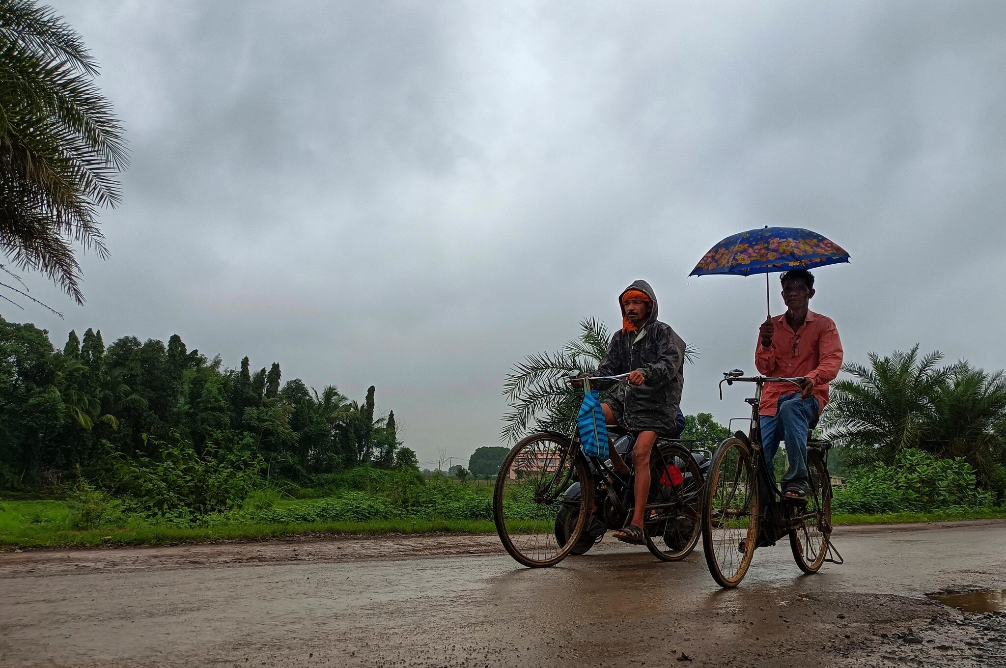 Weather Forecast Tomorrow: IMD Issues Heavy Rain Alert For Several States, Check Details Weather Forecast Tomorrow: IMD Issues Heavy Rain Alert For Several States, Check Details