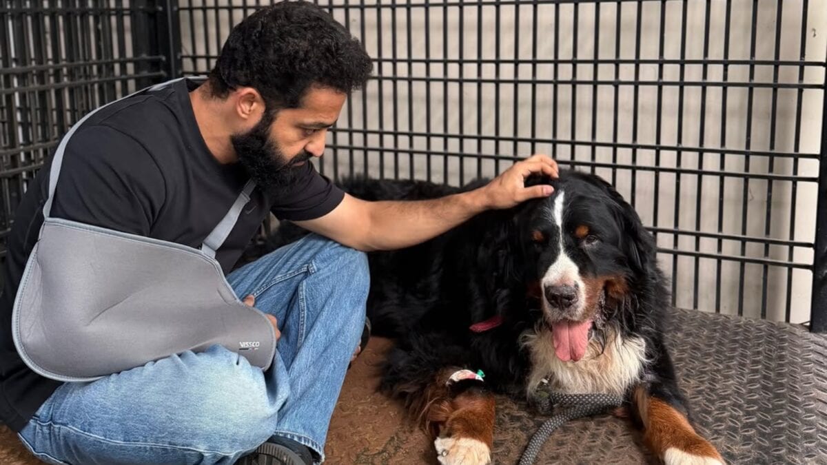 Jr NTS Pens Emotional Note, Mourns Beloved Pet Bagheera's Loss: 'Your Absence Leaves A Silence'