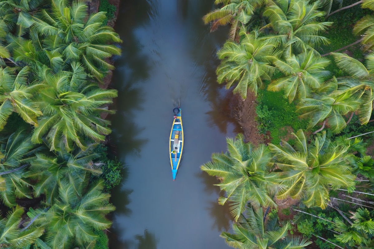 Planning A Last-Minute Onam Trip? These Kerala Destinations Promise The Perfect Festive Escape