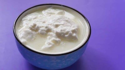 Yogurt Vs Curd: Are They Really The Same? Know The Difference