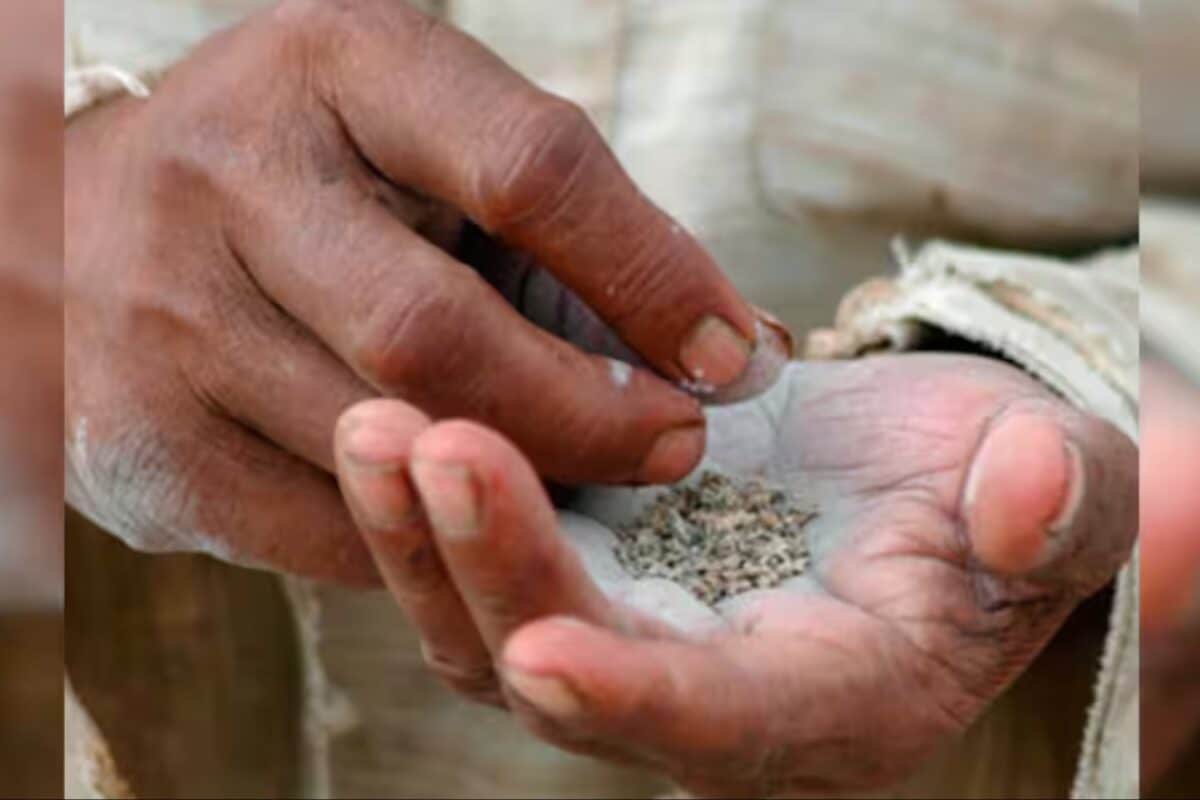 Karnataka Bans Sale And Distribution Of Gutkha, Pan Masala For One Year