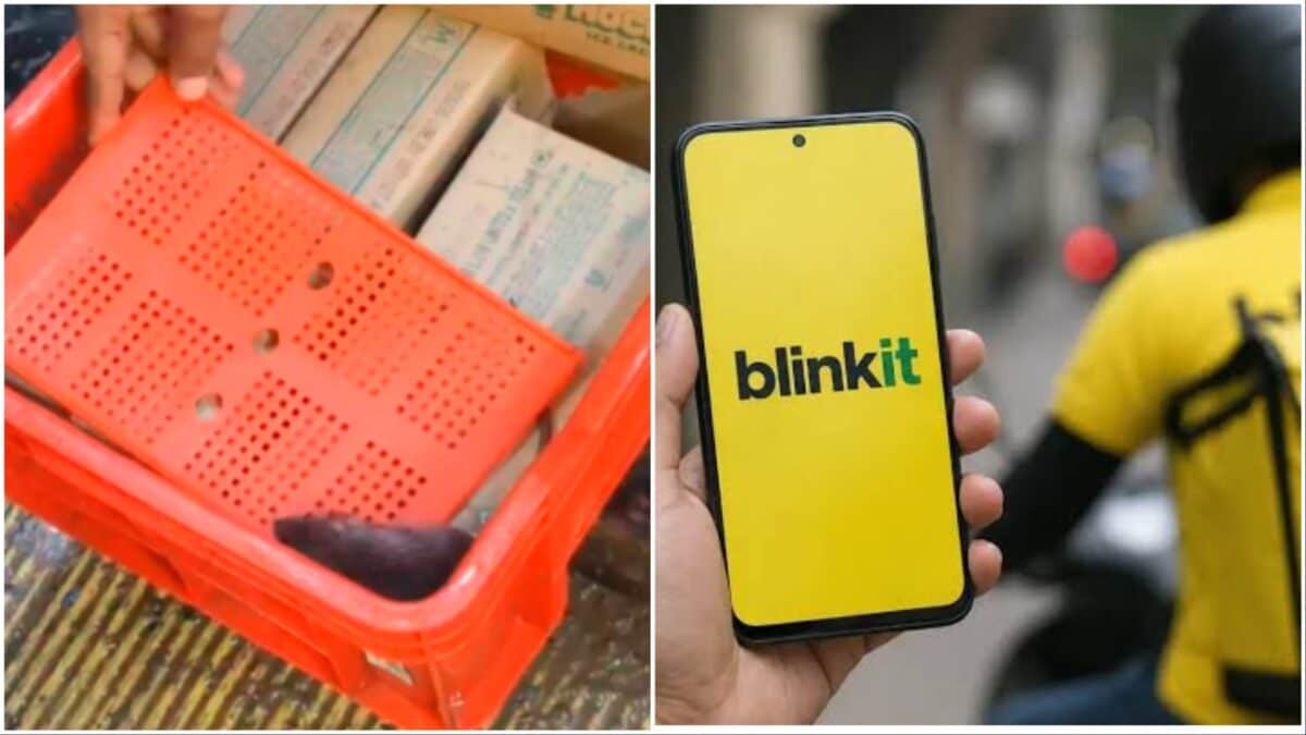 தானே பிளிங்கிட் கடையில் ஐஸ்கிரீம் ஃப்ரீசரில் எலி புகைப்படம்