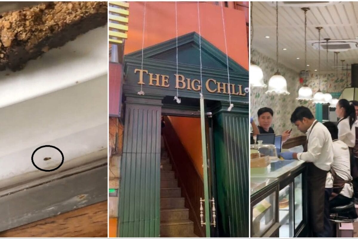 Big Chill Cafe In Delhi's Khan Market Under Spotlight After Man Alleges 'Cockroach Inside Chiller', Posts Video