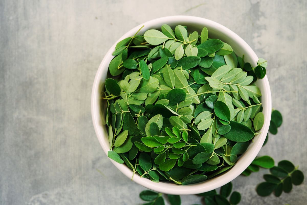Moringa, also known as drumstick leaf, contains vitamins, minerals, antioxidants and several beneficial plant compounds. Its impressive nutritional profile makes it a useful addition to a balanced diet and may offer supportive metabolic health benefits.