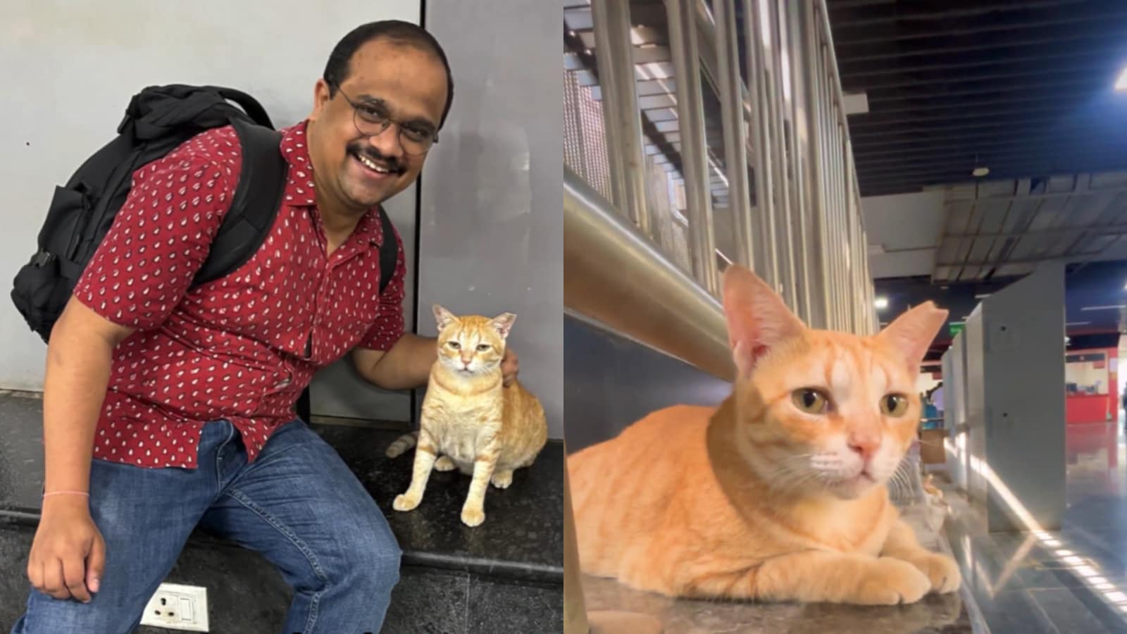 A man in Mumbai spotted a ginger cat at Mumbai Metro’s Gundavali station regularly near the entrance. Realising that the cat remained at the entrance, he decided to jokingly urge the Maha Mumbai Metro Operation Corporation Ltd. to give the “pure soul” an official position. (Image: X/@MMMOCL_Official) A man in Mumbai spotted a ginger cat at Mumbai Metro’s Gundavali station regularly near the entrance. Realising that the cat remained at the entrance, he decided to jokingly urge the Maha Mumbai Metro Operation Corporation Ltd. to give the “pure soul” an official position. (Image: X/@MMMOCL_Official)