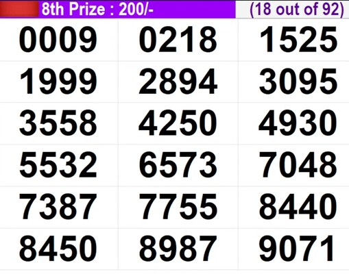 In progress - Winning numbers for 8th prize (18 out of 92)