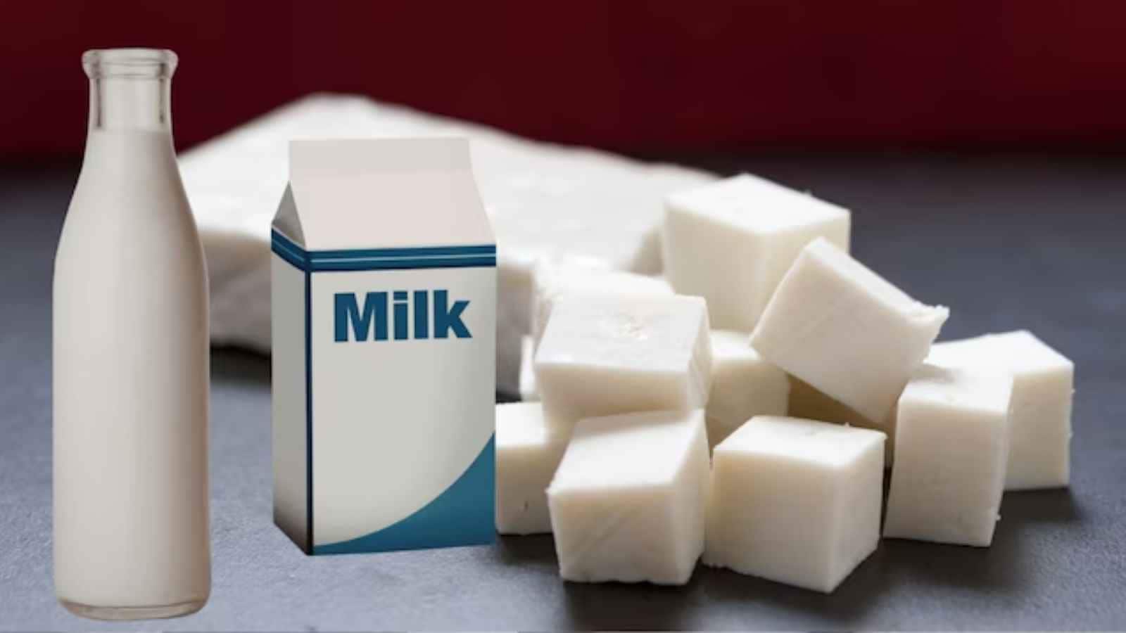 Kumar entered the retail market in 1997 and created the Milky Mist brand. According to the company’s history, MMD Dairy was formed as a partnership in 1999, renamed Milky Mist Dairy Food in 2006 and became a public limited company in 2025. (Image: File Photo)