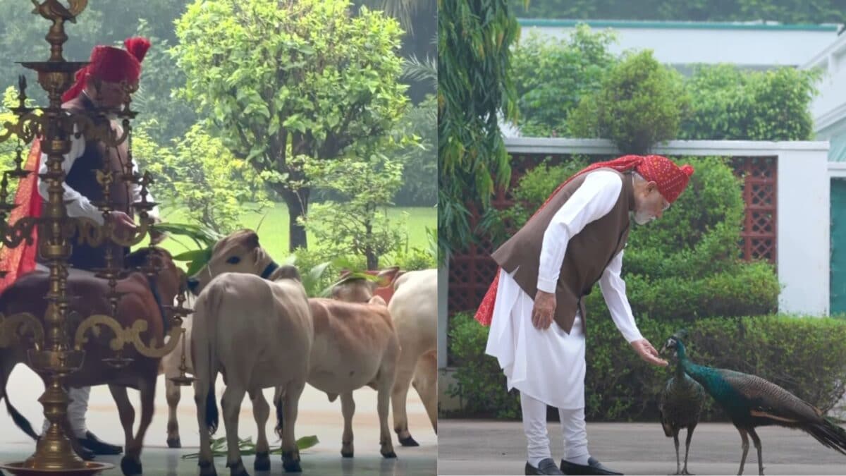 கால்நடைகளுடன் பிரதமர் மோடியின் காணொளி வைரல்