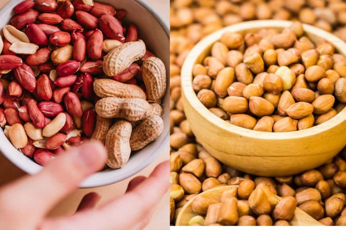 Peanuts Benefits: Why This Budget-Friendly Nut Deserves A Place In Your Diet