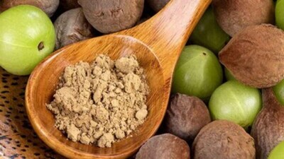 Triphala is particularly well known for its traditional use in digestive wellness. According to Dr Arvind Tripathi, it may support digestion and absorption. However, scientific evidence varies, and traditional uses should not be treated as proven medical benefits. (Image: Canva)